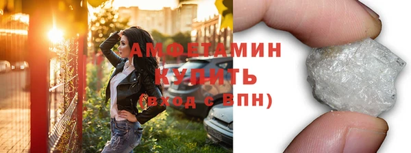 стаф Аркадак
