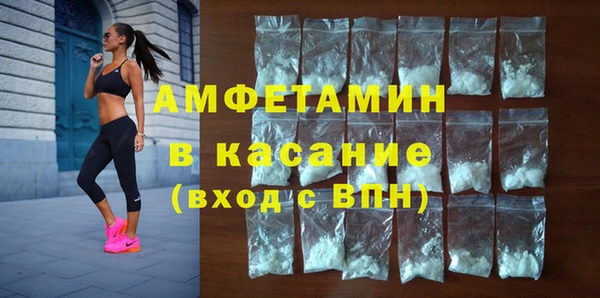 стаф Аркадак