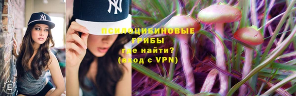 PSILOCYBIN Арсеньев